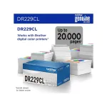 Brother-BRTDR229CL