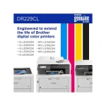 Brother-BRTDR229CL