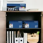 Brother-TN2234PK