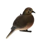 ZINK-AVXDOVE6PK