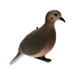 ZINK-AVXDOVE6PK