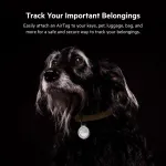 Belkin-MSC003BTWH