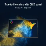 ASUS-MQ16FC