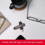 Western Digital-SDDDE1-256G-G46