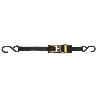 BoatBuckle F14209 - BoatBuckle 1 CamBuckle TransomUtility Tie-Down - 1 x 3.5 - P