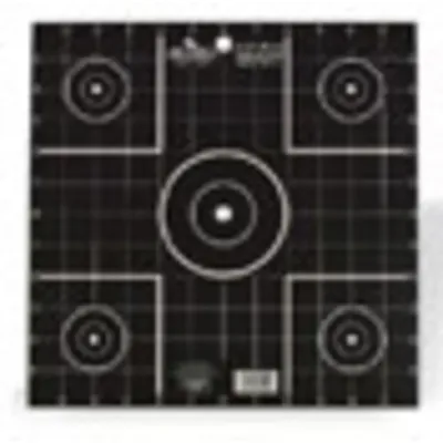 C2G 35212 - Birchwood Casey Dirty Bird Target 12 inch Sight In 12 Pack