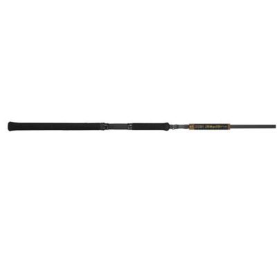 BnM Fishing CCT163 - BnM Capps and Coleman Trolling Rod 16ft 3 sec.
