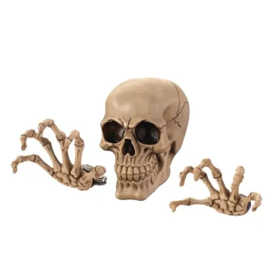 Dragon Crest 10017295 - Spooky Skeleton Wall Decor - 3 Piece Set