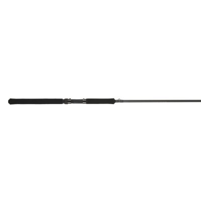 BnM Fishing CWRB10 - BnM Crappie Wizzard Russ Baily Sig Series 10.5 Foot 2 Piece
