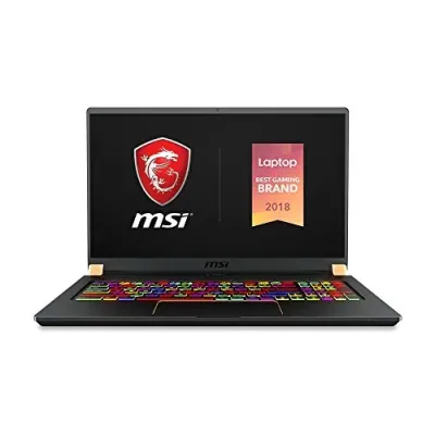 MSI GS75480 - MSI GS75 Stealth 17.3 Gaming Laptop - i9, RTX 2070