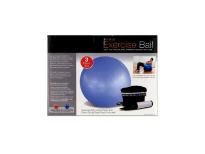 Bulk Buys OB350 - Exercise Ball with Pump