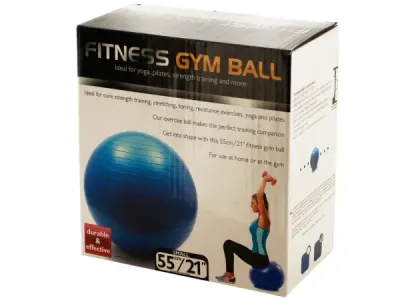 Bulk Buys OF021 - Small Fitness Gym Ball