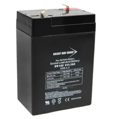 BRIGHT WAY GROUP BW 645 F1 (0010) - 6V 4.5A SLD LD ACD BAT