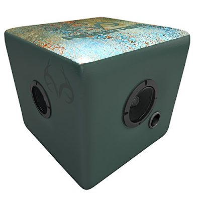 Rainmaker GQ1603 - Rainmaker Realtree Bluetooth Speaker Ottoman-Aqua