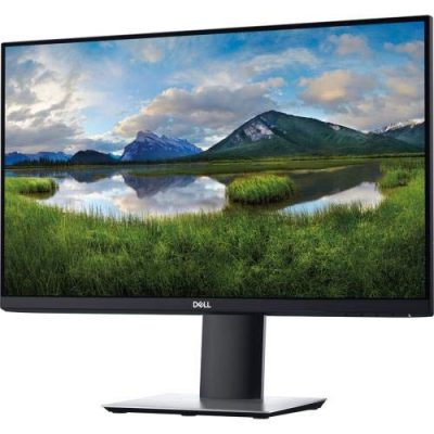 DELL P2421D - 24 IPS QHD 2560x1440 60Hz