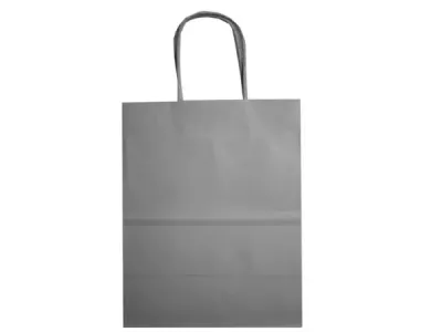 Bulk Buys DC204 - Elegant Small Gray Gift Bag for Every Occasion