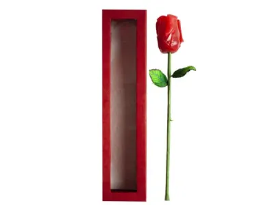 bulk buys HP200 - Elegant Rose Candle with Stem in Decorative Box