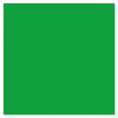 PACON CORPORATION PAC 57205 - Fadeless Bulletin Board Art Paper - ClassRoom Project, Home 