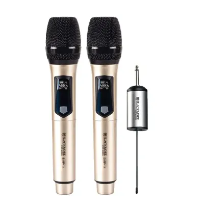 BLACKMORE PRO AUDIO BMP-14 - DL HNDHLD RCHRGBL MIC SYS