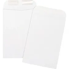 Business Source BSN 42117 - Business Source Durable Open-End Catalog Envelopes - Catalog