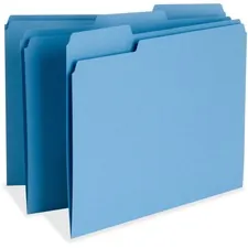Business Source BSN 65779 - Business Source 13 Tab Cut Letter Recycled Top Tab File Fold