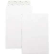 Business Source BSN 42122 - Business Source Self-Seal 6x9 Catalog Envelopes - Catalog - 