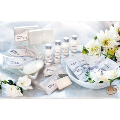 TRANSMACRO AMENITIES DIA 20817 - SHAMPOO,.25OZ PCKT,500CT