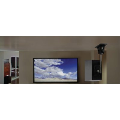 ERGOTRON 15.0 C - OmniMount(R) 15.0 C 15lb Ceiling Speaker Mount