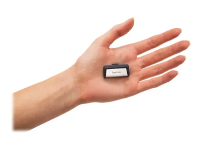 Western Digital SDDDC2-256G-G46 - 256GB Ultra Dual USB Drive - High-Speed Storage Solution