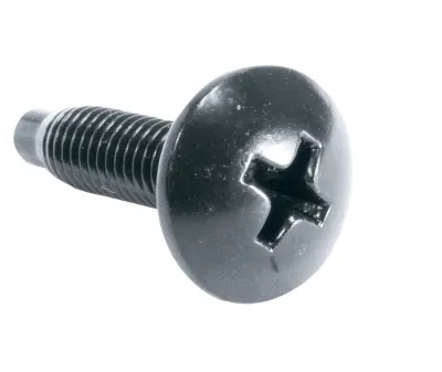 LEGRAND HG - 100PC,10-32 RUST RST SCW