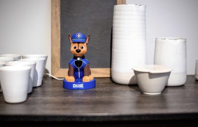 Ematic EPWB1402 - PAW Patrol 1080p HD WiFi Cam