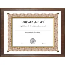 NuDell Manufacturing Company Inc NUD 18811M - Golite nu-dell Display Frame - 13 x 10.50 Frame Size - Holds