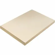 DIXON TICONDEROGA CO. PAC 5114 - Pacon Tagboard - Craft, Art - 12Width x 18Length - 100  Pack