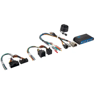 PAC AP4-FD31 - 2018+ FRD AMP INT AMPPRO
