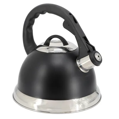 MR COFFEE 143783.01 - Mr. Coffee Clarefield 2.4 Quart Stainless Steel Kettle