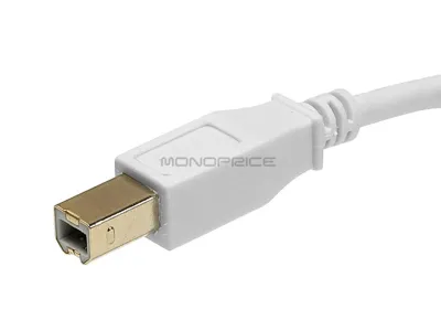 Monoprice 8616 - USB 2.0 A M B M 2824AWG CABLE 6FT