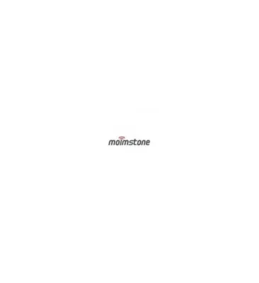 Miscellaneous Brands MST-BATTERY - Battery W10 for MWP1100 3.7V 1100mAh