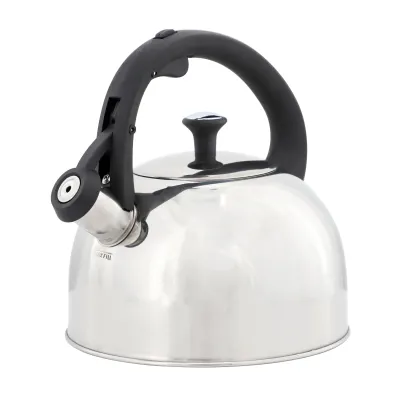 MR COFFEE 143797.01 - Mr. Coffee Daneswell 2.1 Quart Stainless Steel Whistling Tea
