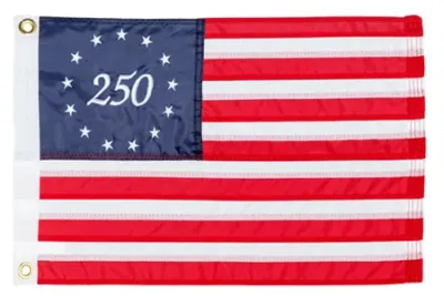 Taylor Made Products 8419 - Taylor Made 12in x 18in 250 Years of Freedom American Flag