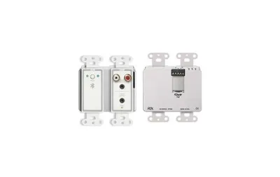 RDL DD-BTN44 - Wall-Mounted Bi-Directional Dante Audio Interface