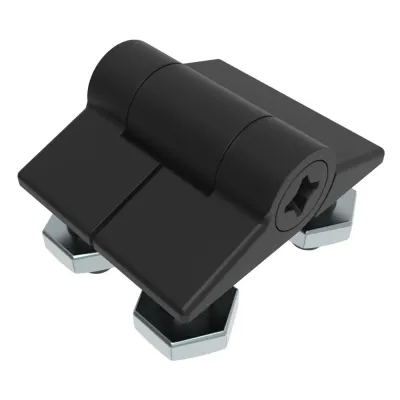 Southco E6-10-101-20 - Adjustable Torque Hinge, Symmetric Torque, Small Size, Aceta