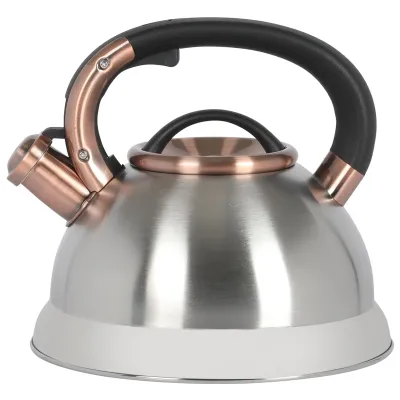 MR COFFEE 147000.01RR - Mr. Coffee Flintshire 2.2 Quart Stainless Steel Whistling Te