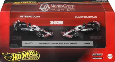 Hot Wheels JMM97 - MoneyGram Haas F1 Team Formula One F1 World Championship (20