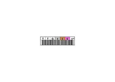 EDP 1700-002T - LABEL LTO 2-6 CH HZ (ID:L2) TRI OPTIC TO GO