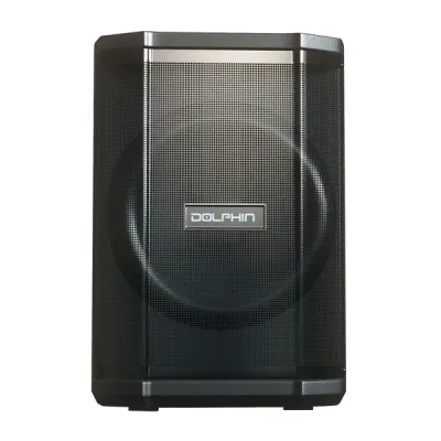 DOLPHIN AUDIO SP-880RBT - 8IN RCHRG PRTY SPKR WTLT