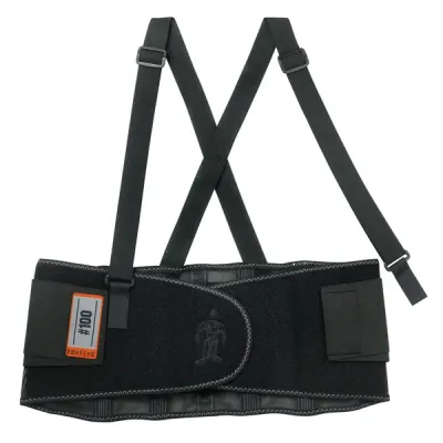 ERGODYNE EGO 11383 - Ergodyne ProFlex 100 Economy Back Support Brace - 30 to 34 W